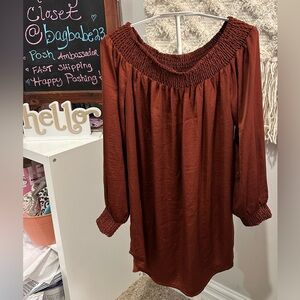CAbi Terracotta satin Smocked Top Small